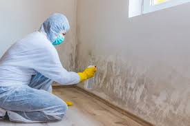 Mold Removal for HVAC Installations in Olivehurst, CA